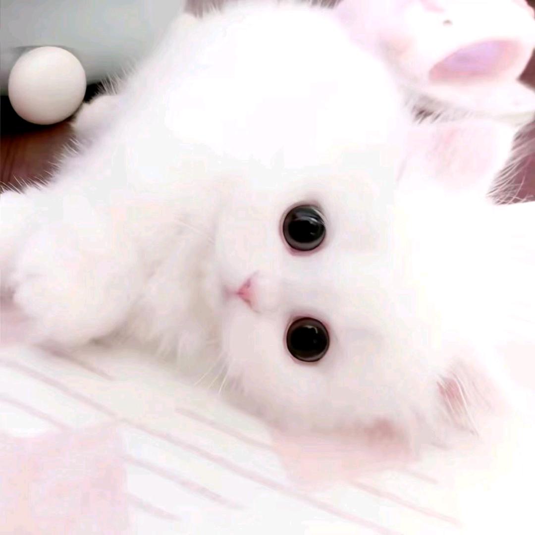 思念思念
