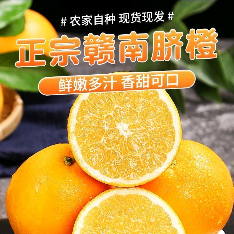 赣南小林，