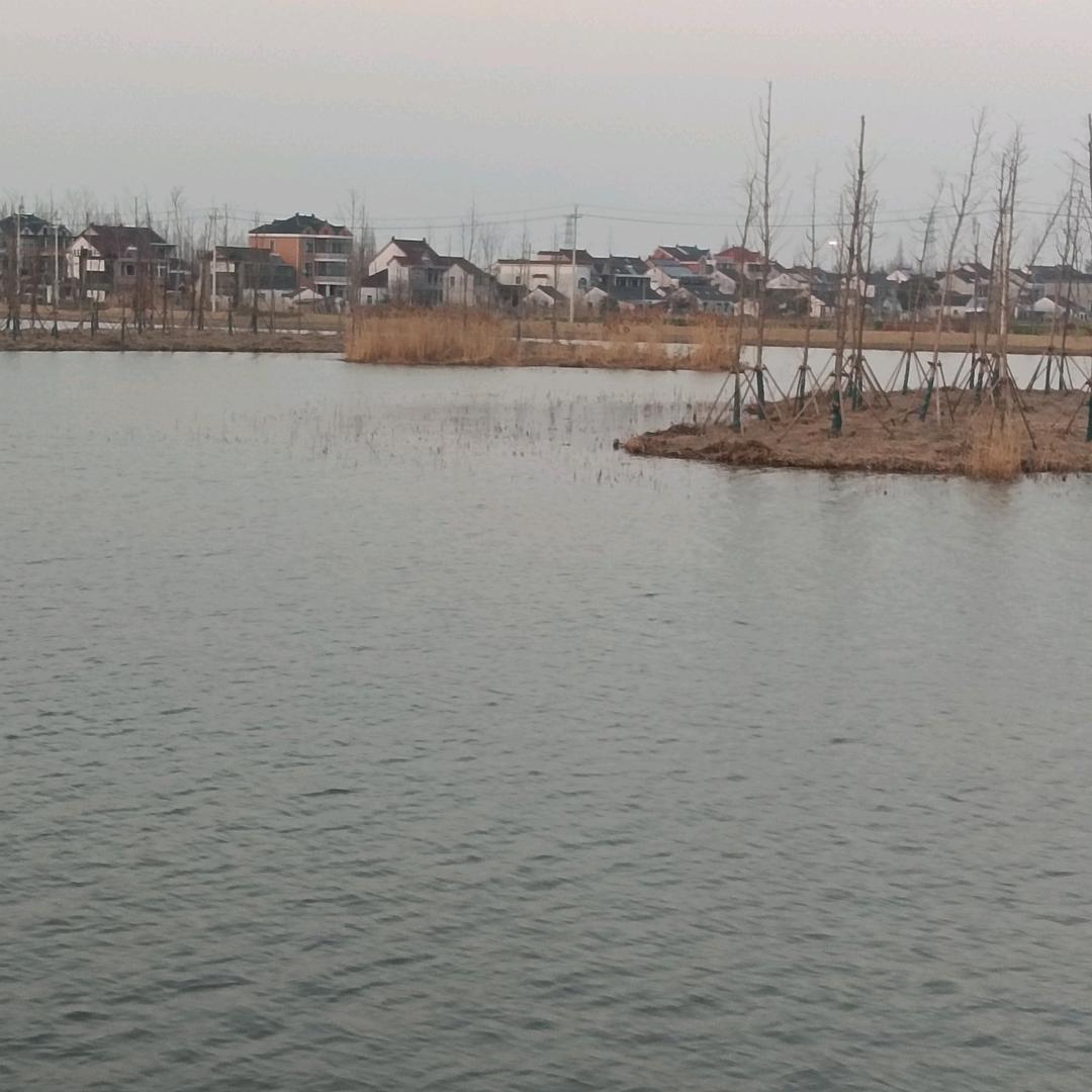 用户我是阿华专职跑网约车