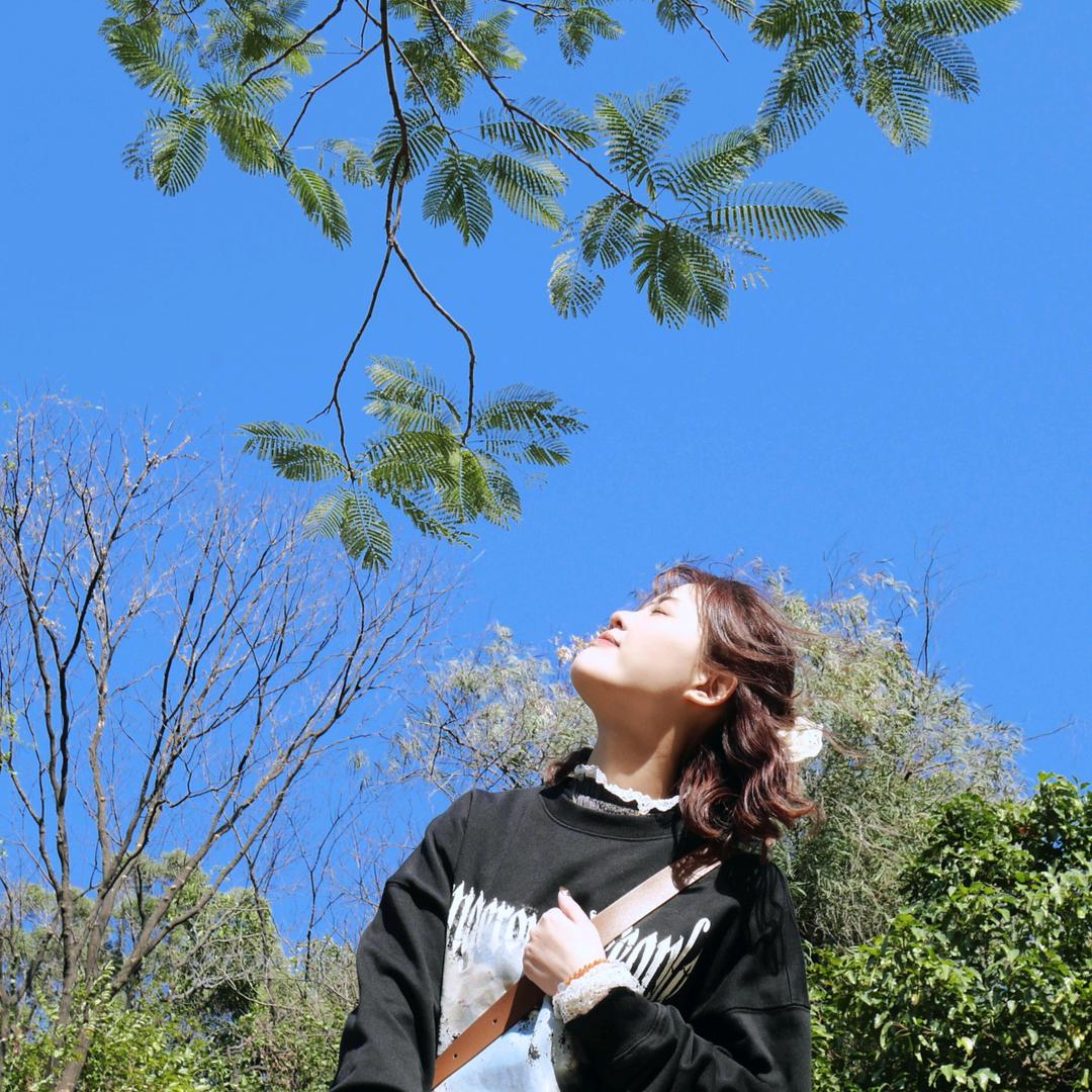 ✨是欢欢吖🍀
