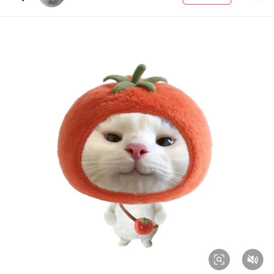 ^_犯困💭小少^