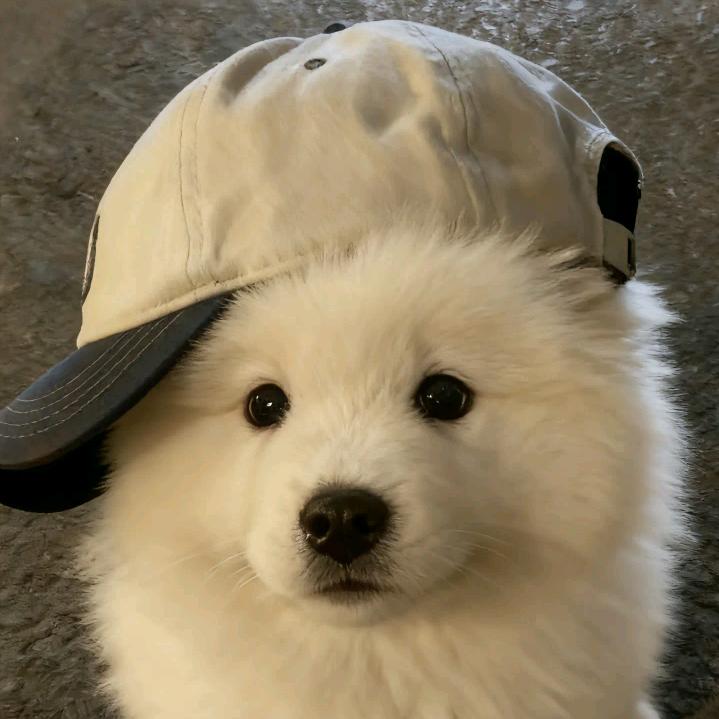 Da.