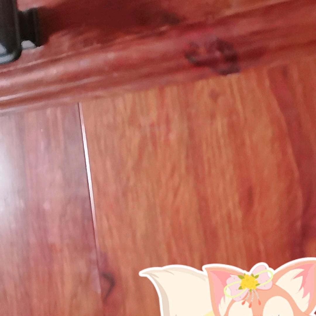 辉