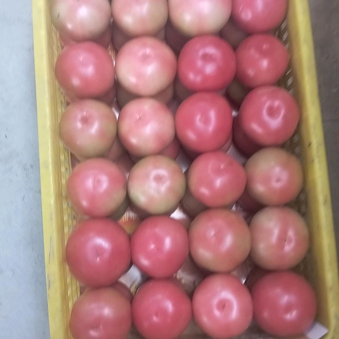 做人多高才不算矮