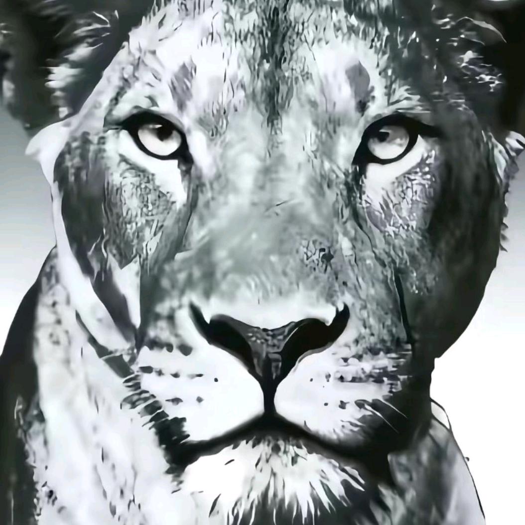 右转撞到电线杆紧急手术中