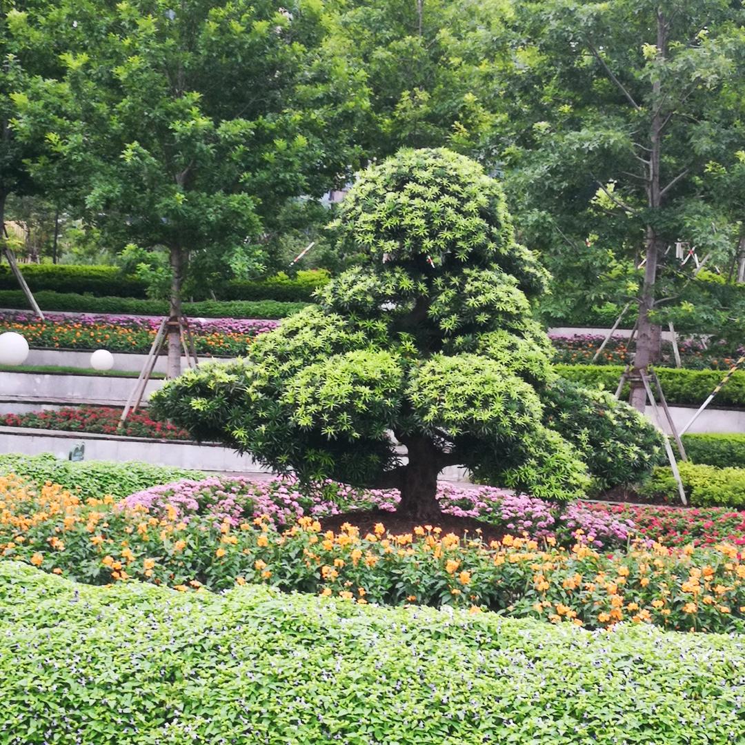 健康是福