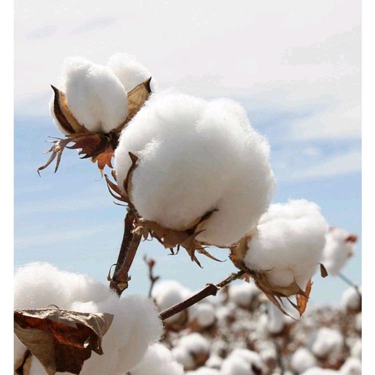 朵棉韵严选批发店