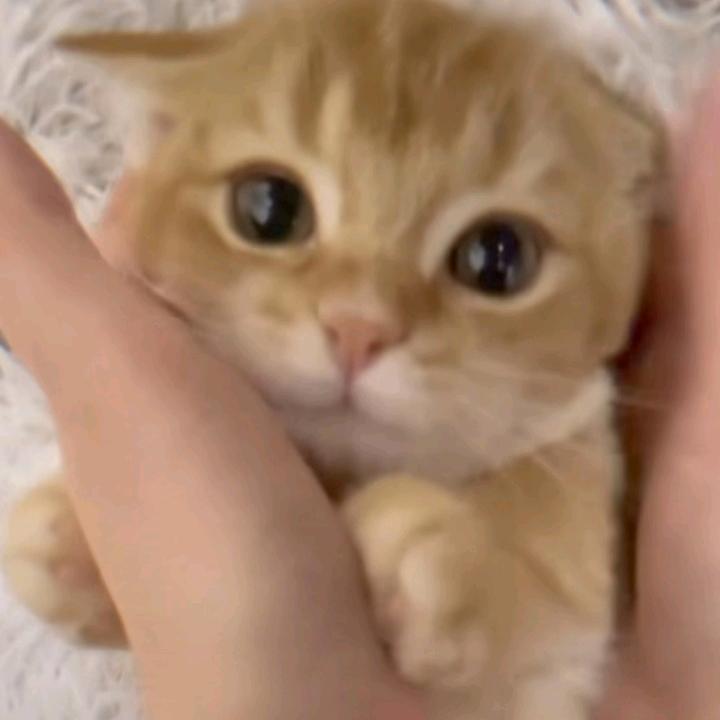 财从四面八方来