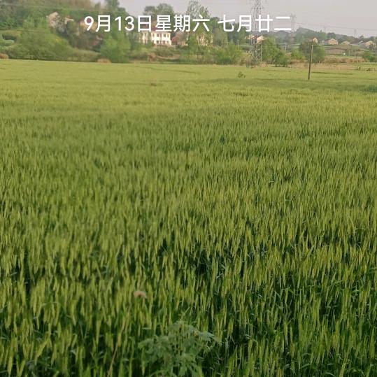 幸福佳缘！