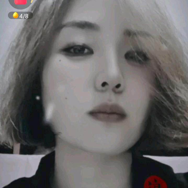 我和我的毛孩子们