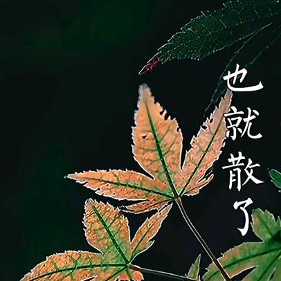 我本善良