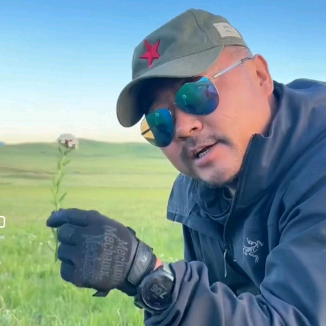 老马在草原酱牛肉