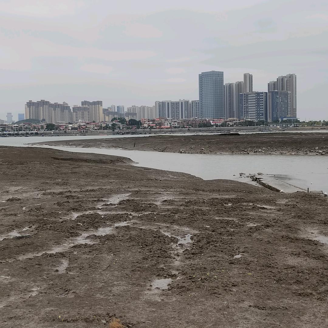 相濡以沫不如相忘于江湖