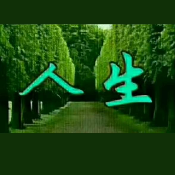 梦想而战