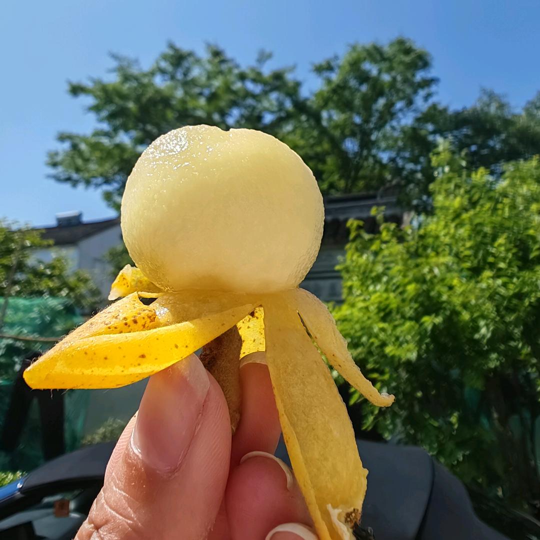 苏州东山逸品农副产品