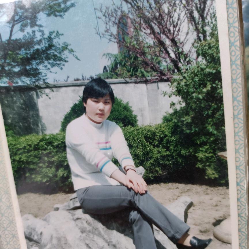 向日葵2《好物在橱窗》