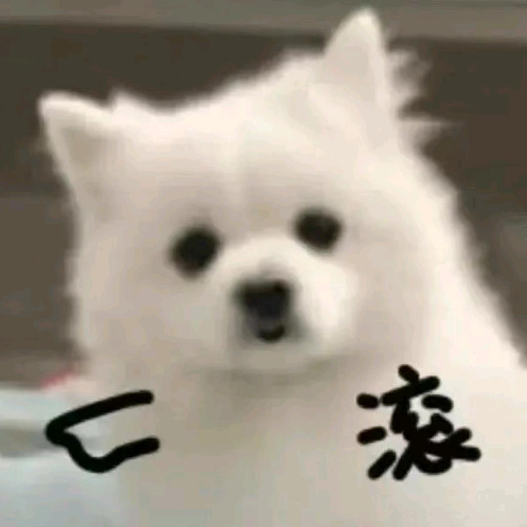 不耽误
