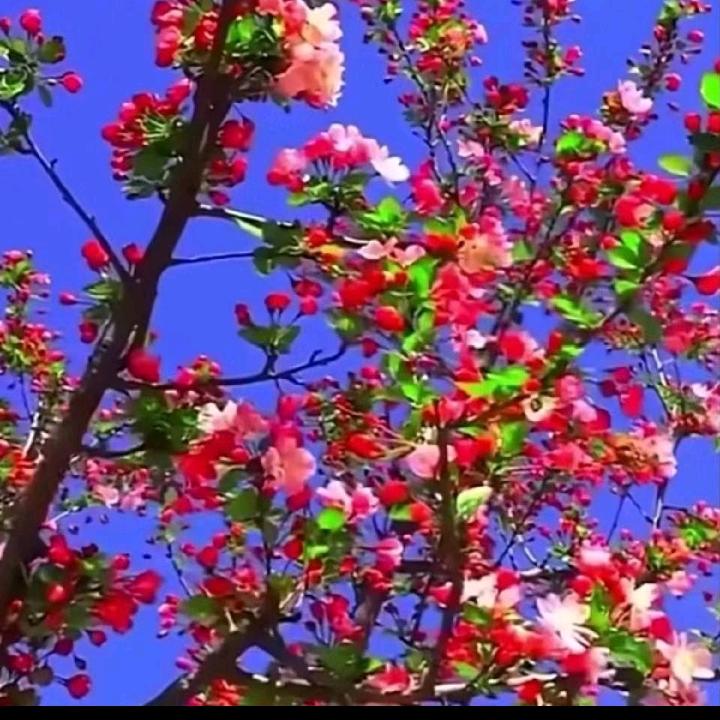 爱的路上只有我和你