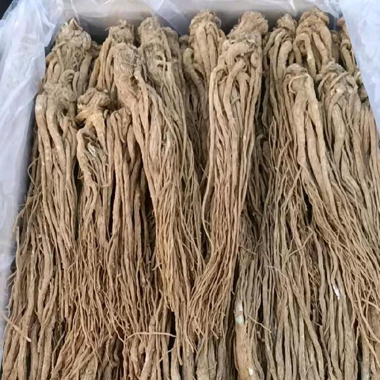 岷县当归  党参