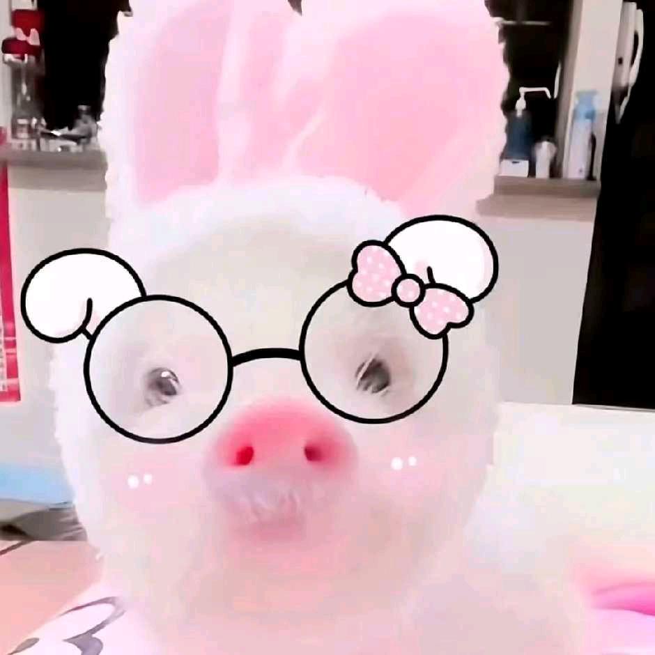 妤籽