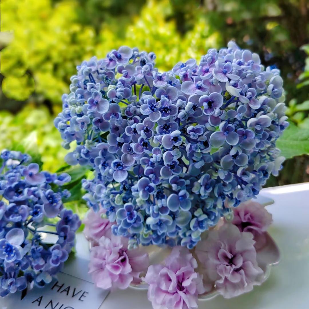 奇缘花卉