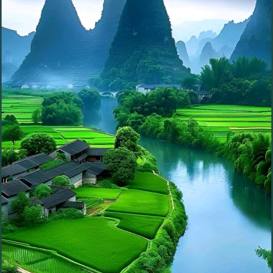 背影里的沉默