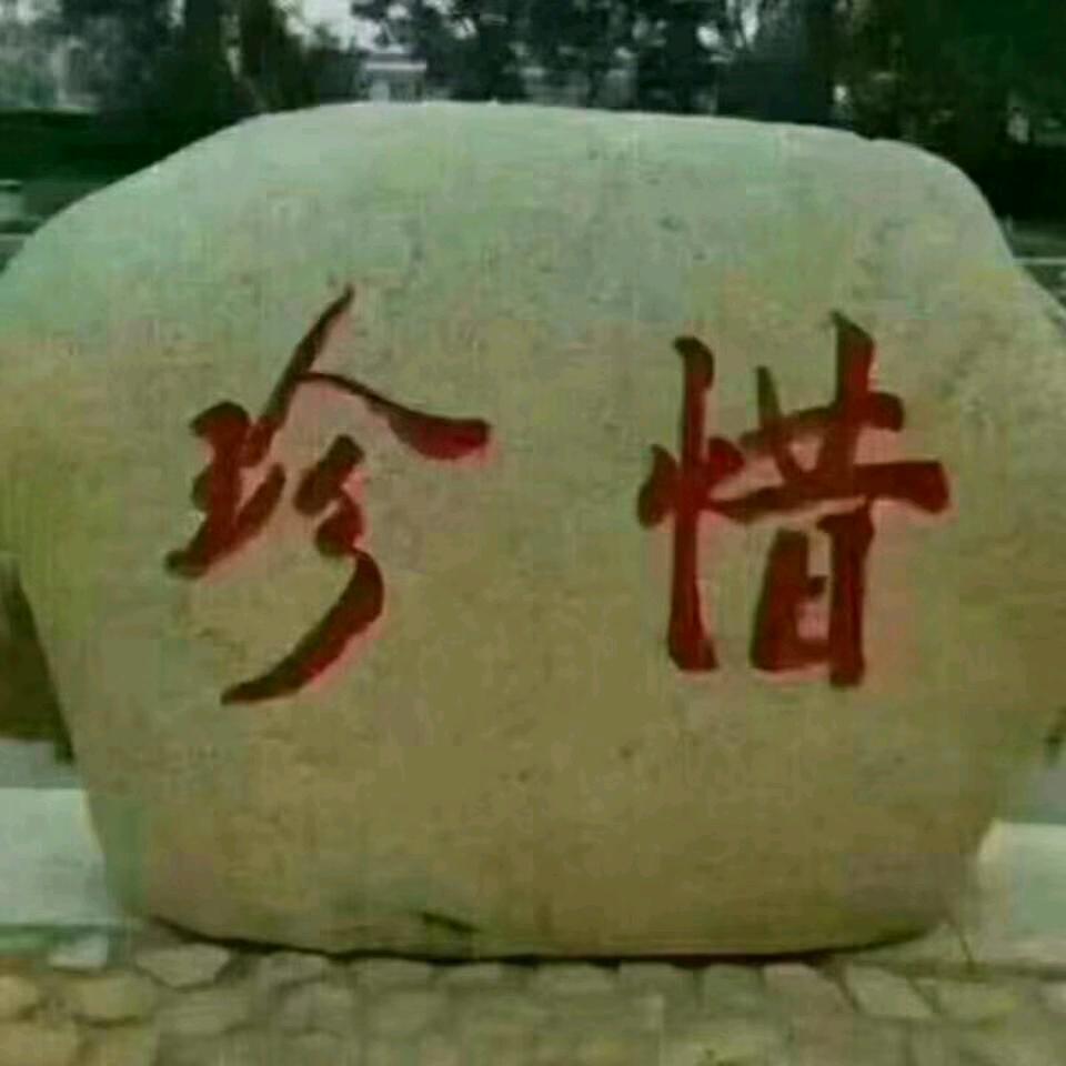 酸萝卜8593
