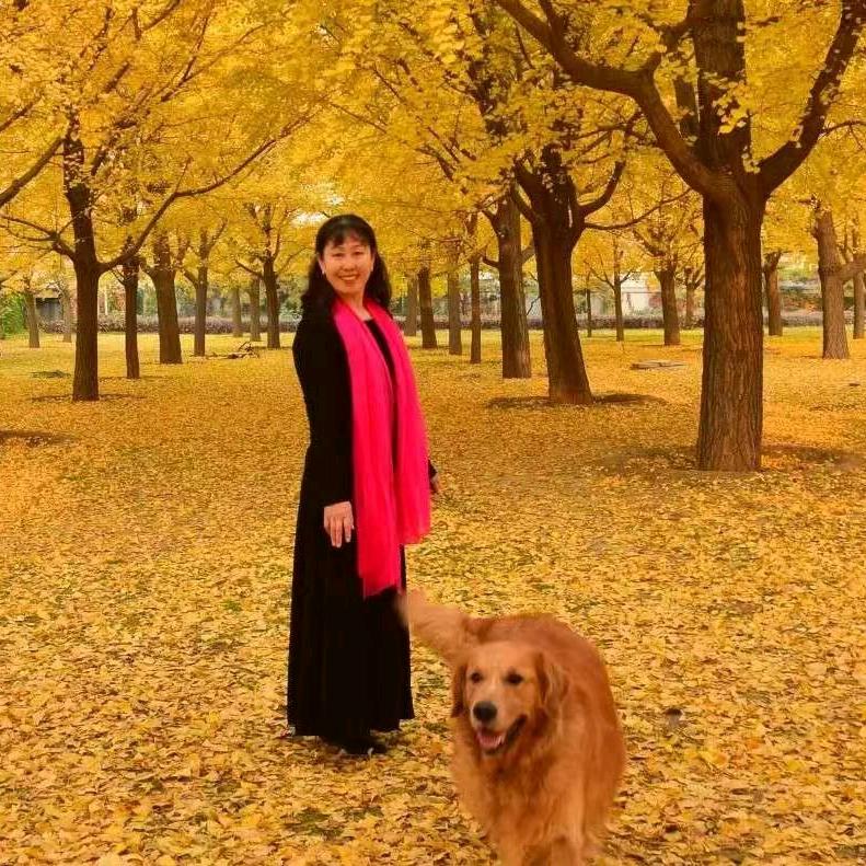 实力秀风明