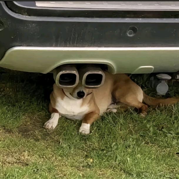 我第一次知道抖音的名字原来可以改这么长啊