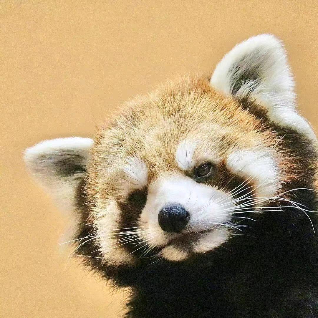 温青商贸