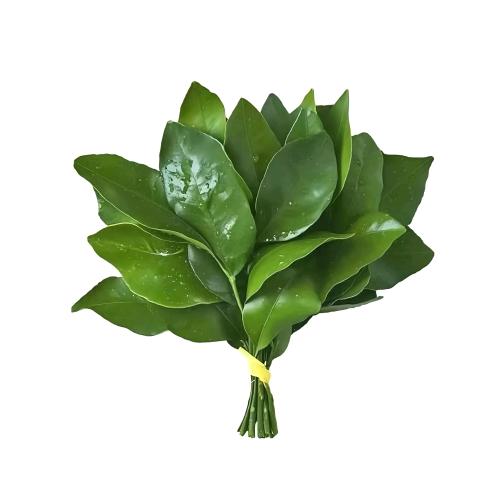 多喝水