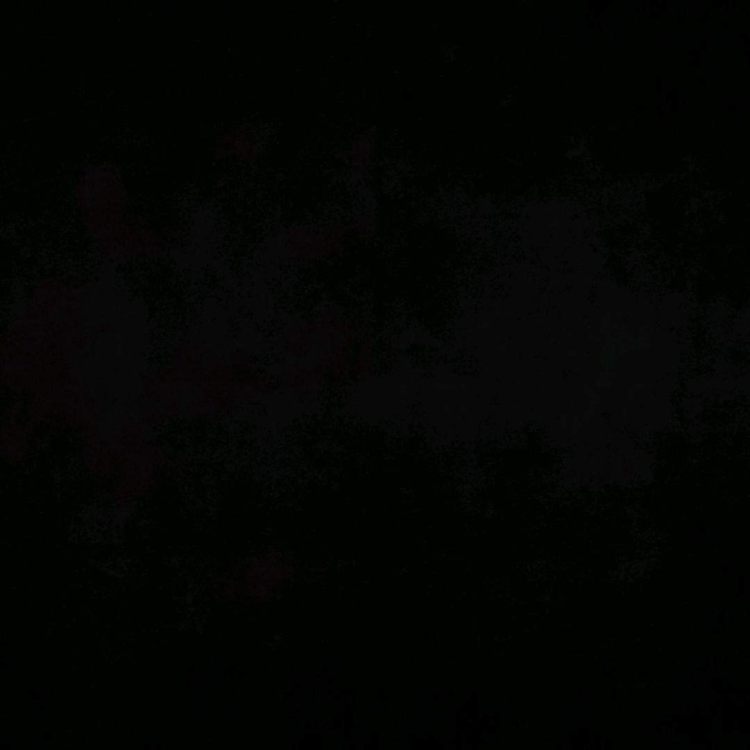 栖·