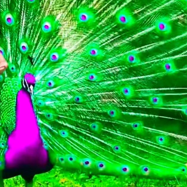 幸福快乐每一天。