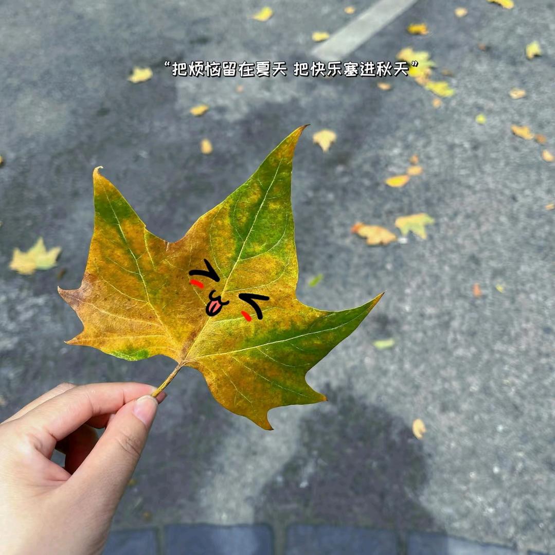 陌陌