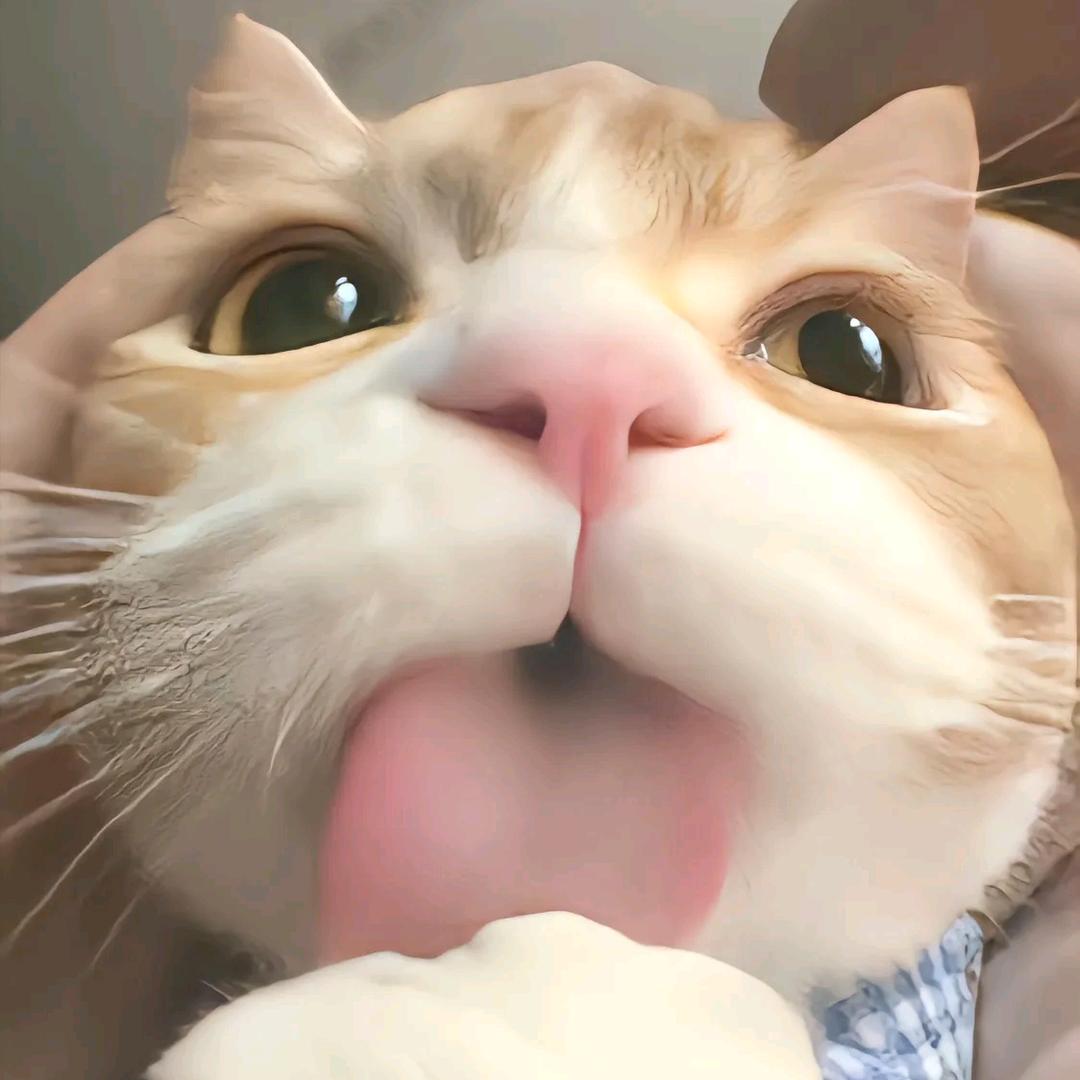 爱吃南孚电池