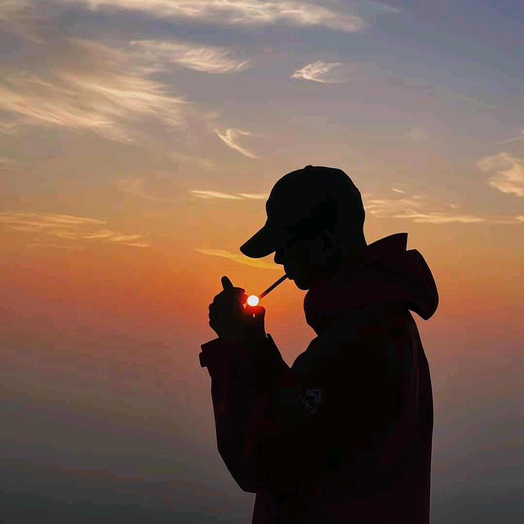 奔跑的鲨鱼.