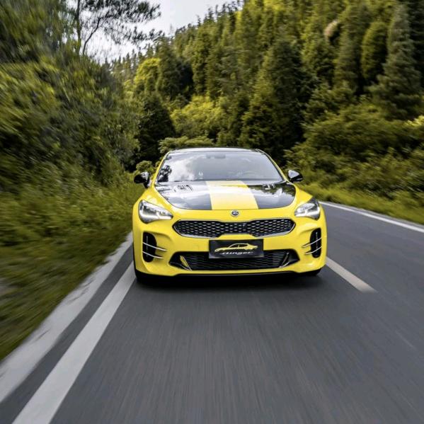 一人一夜一床一车一狗一草一木一花一世界