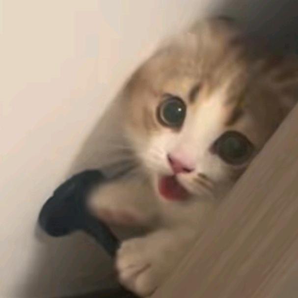 AAA光遇摇裤批发梅总