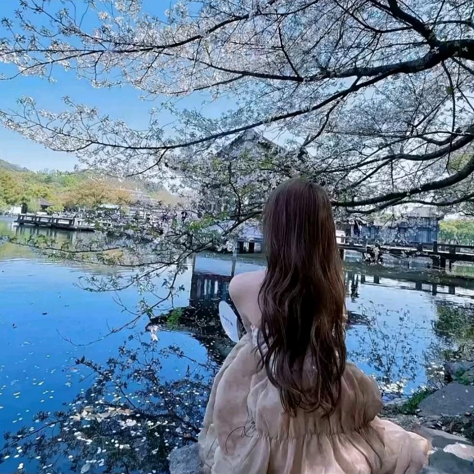 韩露