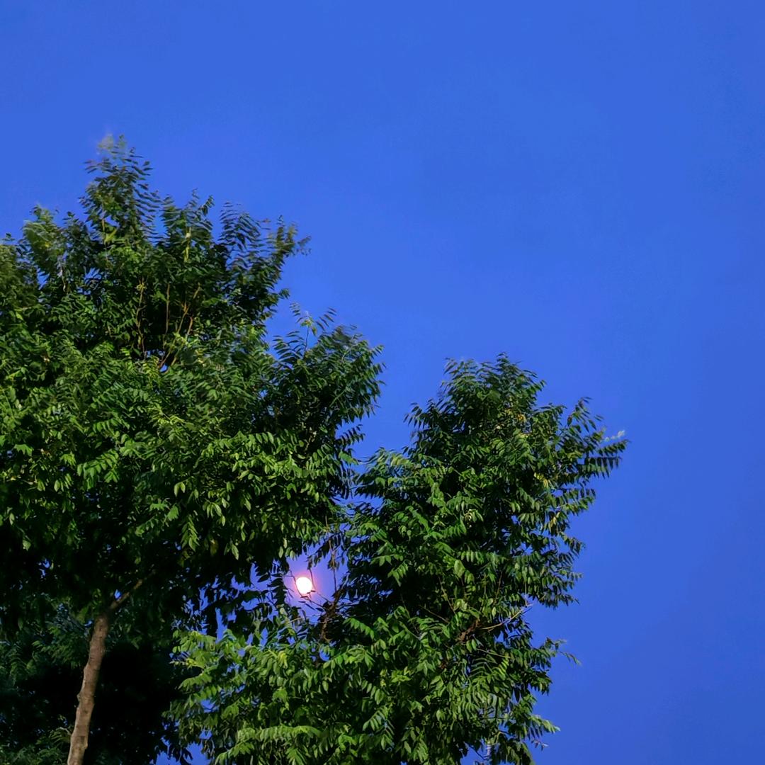 美满幸福(^o^)o