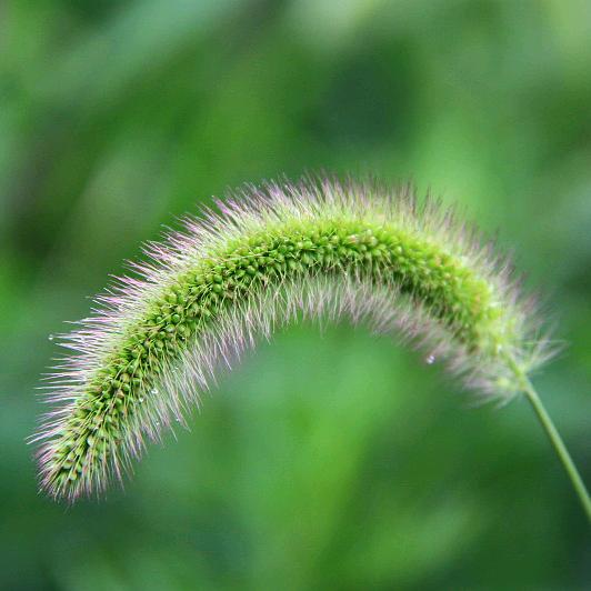 🚬～大叔爱财。