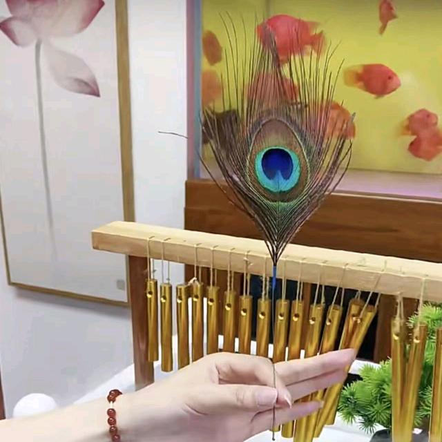 耳梦轩采耳(龙华店)专用号