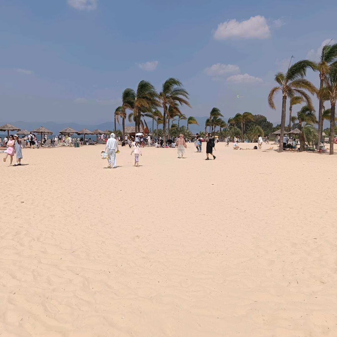吥惪