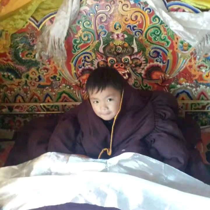 登真启扎83816259