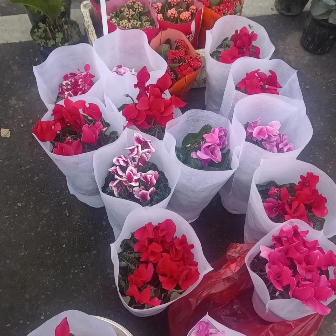 财满八斗 (拒私聊)