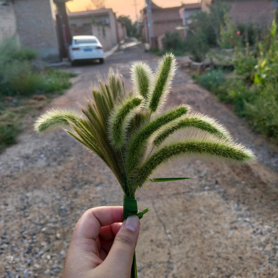 🦋꧔ꦿ᭄💞原冯不董💕 ❧⁵²⁰