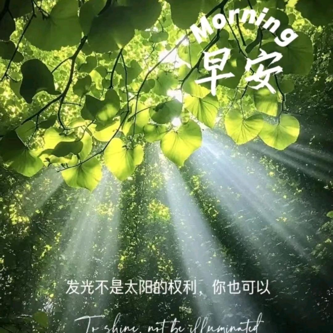 👑顺理成章