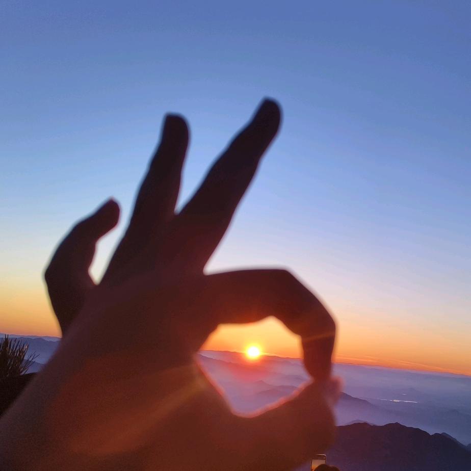 安逸悠