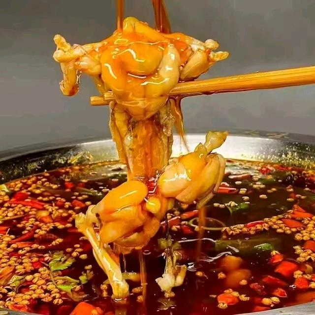 美蛙肥肠鱼官方号