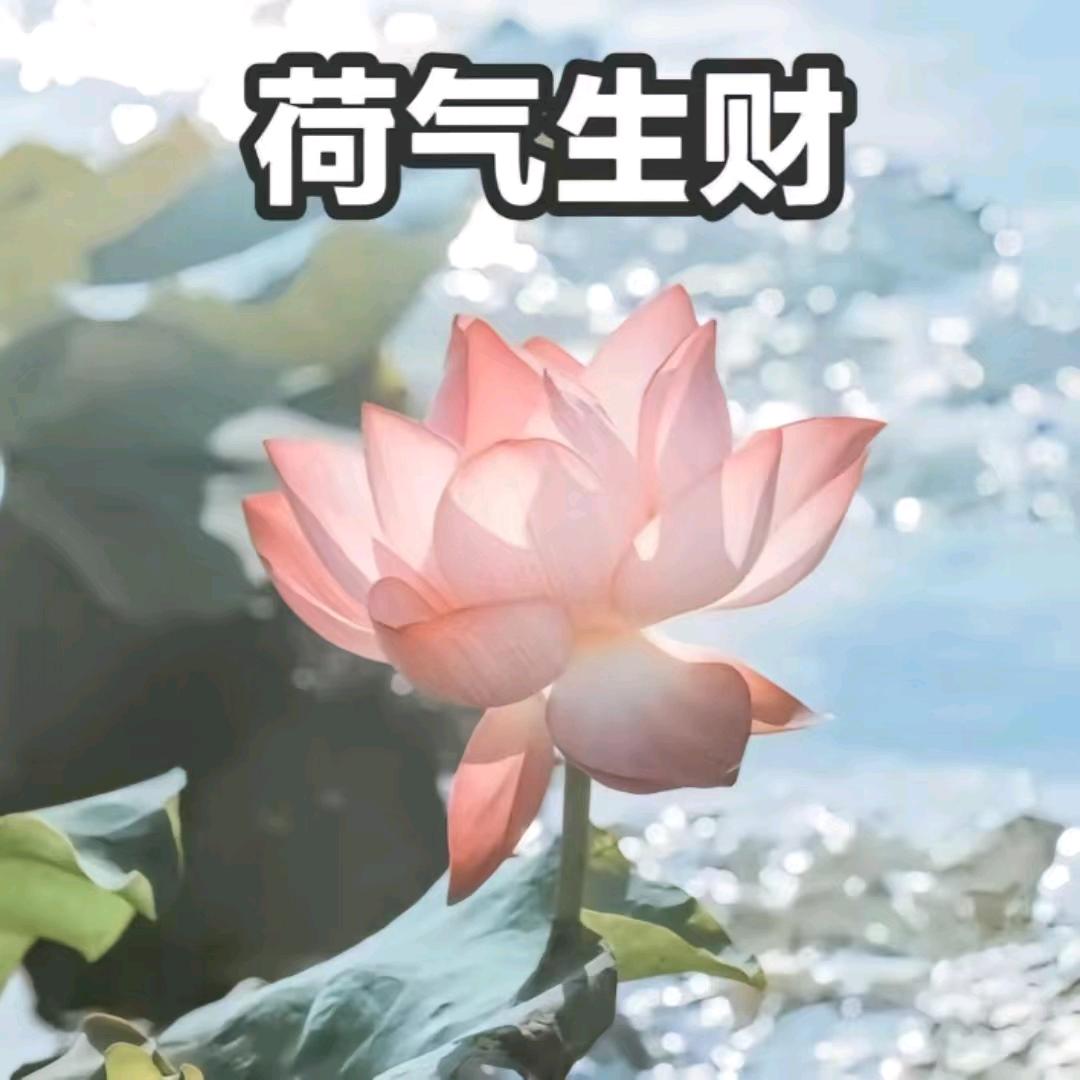 热爱